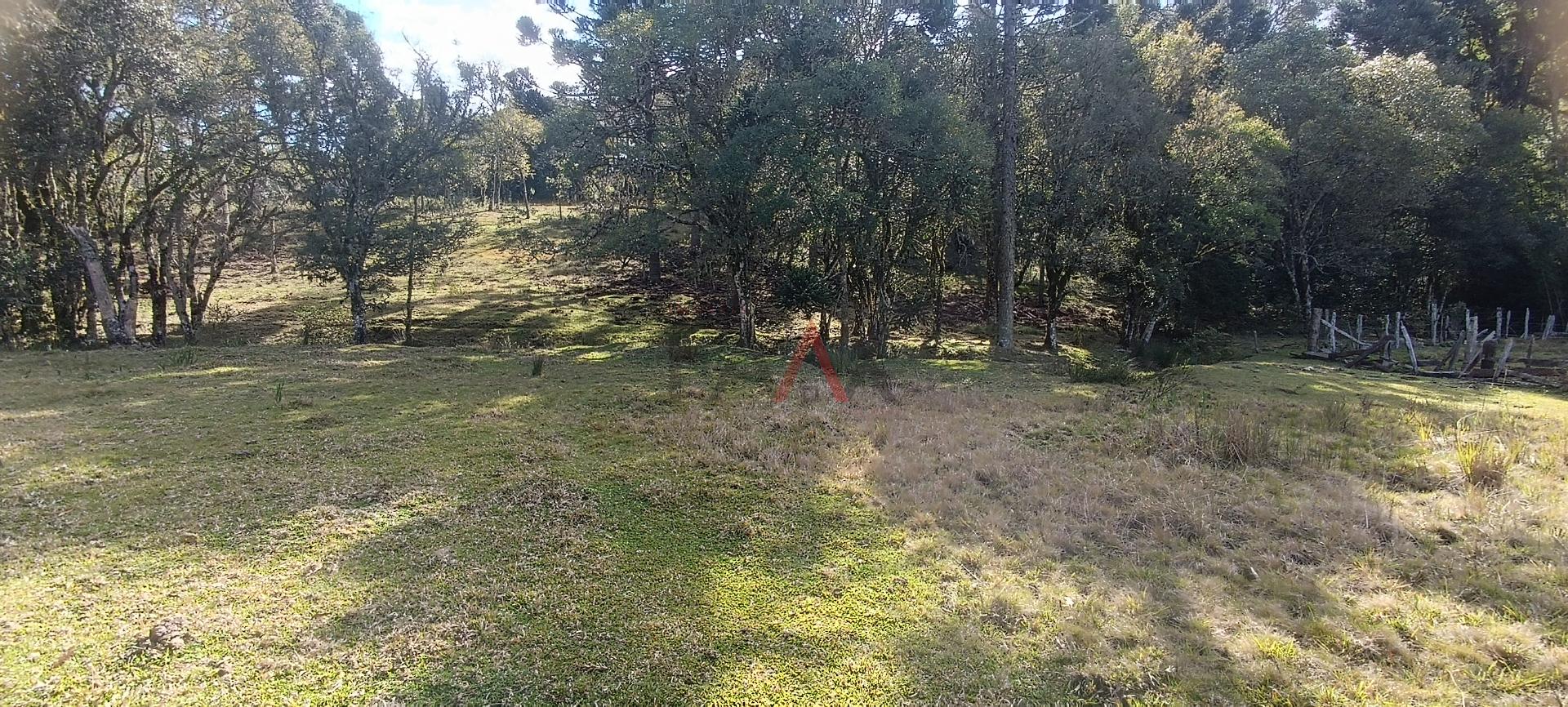 Fazenda à venda - Foto 5