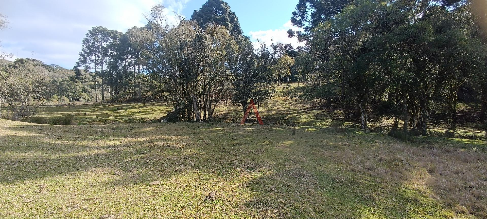 Fazenda à venda - Foto 6