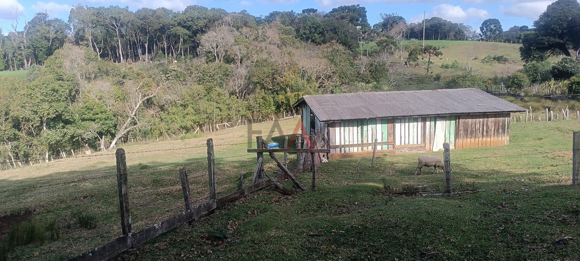 Fazenda à venda - Foto 12