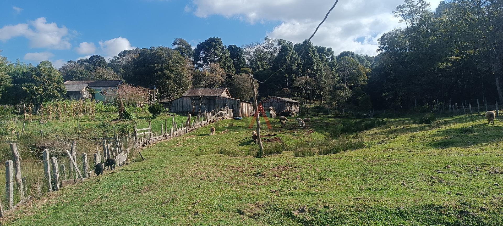 Fazenda à venda - Foto 20