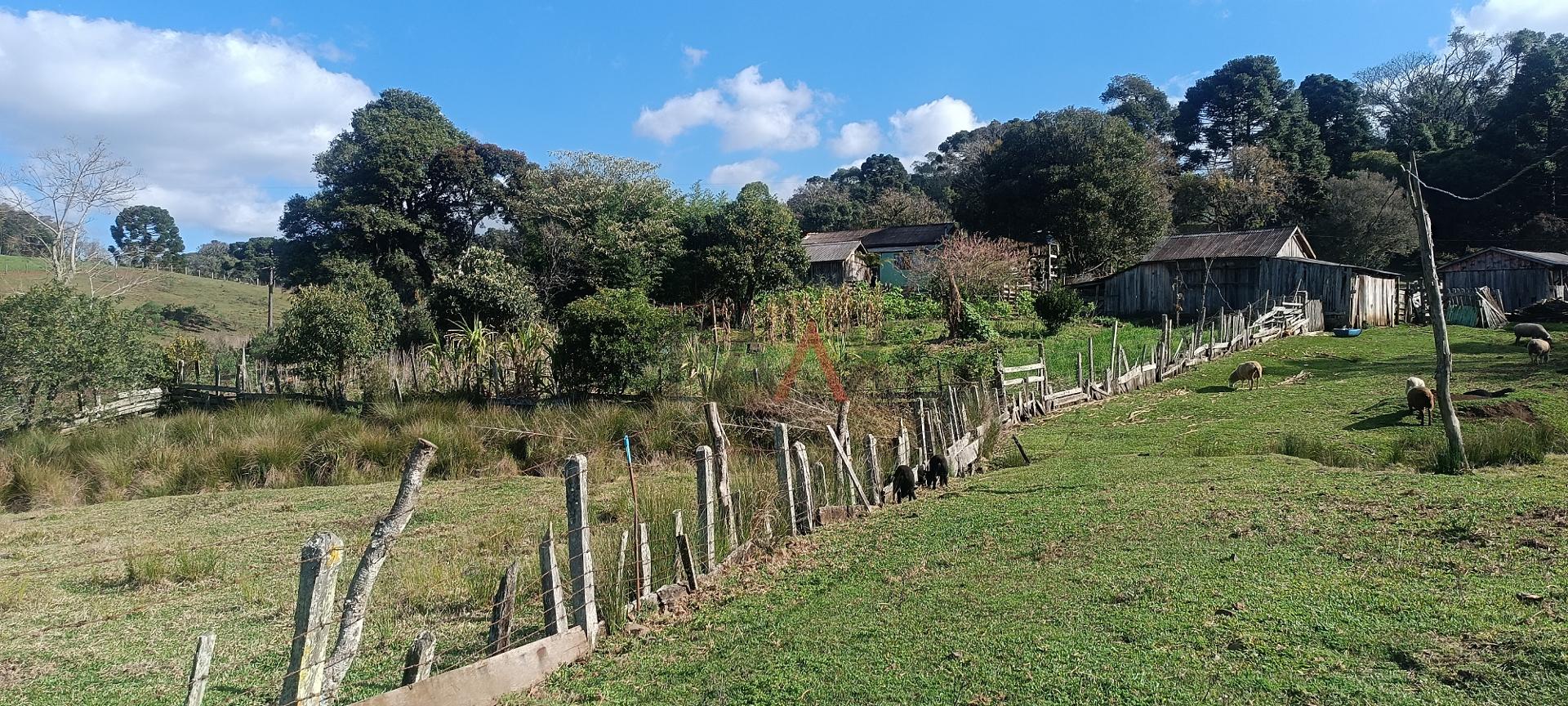 Fazenda à venda - Foto 19