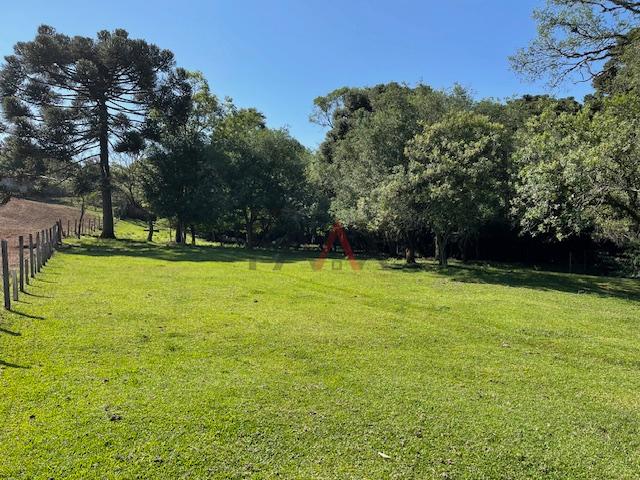 Fazenda à venda com 4 quartos, 310m² - Foto 13