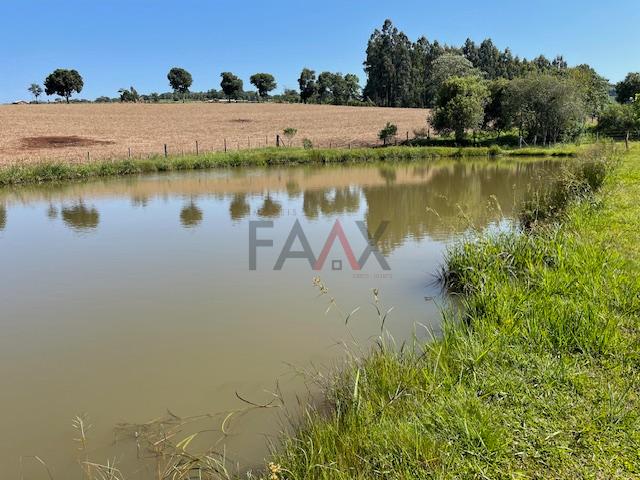 Fazenda à venda com 4 quartos, 310m² - Foto 8