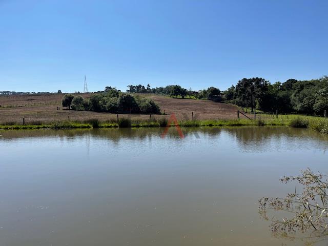 Fazenda à venda com 4 quartos, 310m² - Foto 9