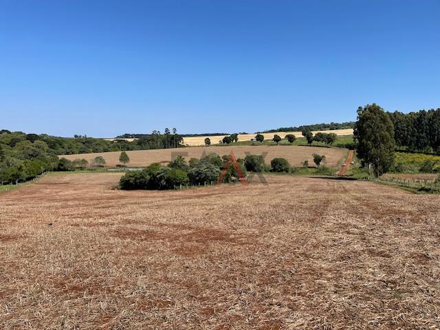 Fazenda à venda com 4 quartos, 310m² - Foto 25