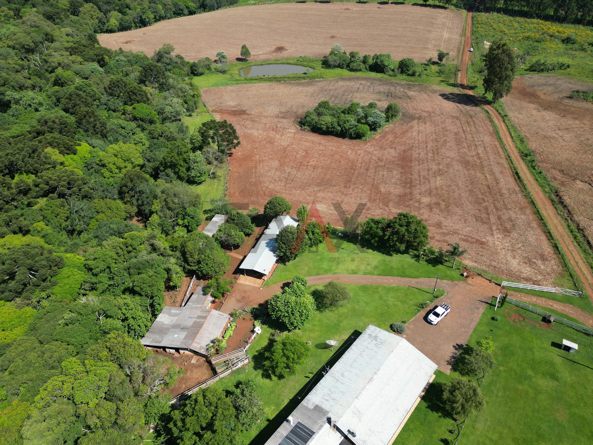 Fazenda à venda com 4 quartos, 310m² - Foto 65