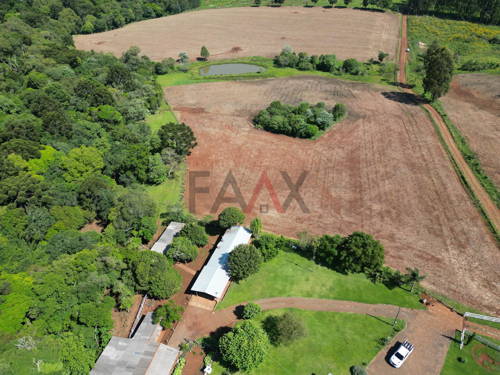 Fazenda à venda com 4 quartos, 310m² - Foto 67