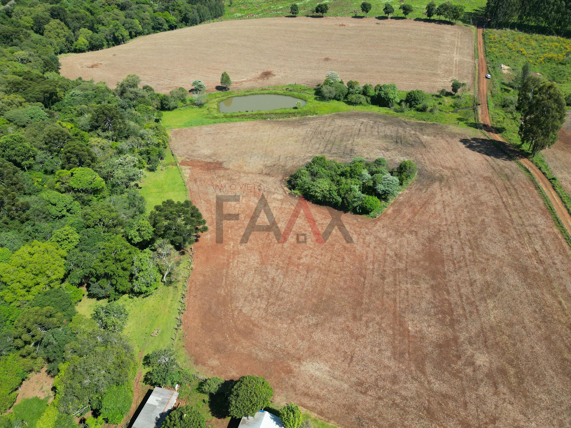 Fazenda à venda com 4 quartos, 310m² - Foto 68