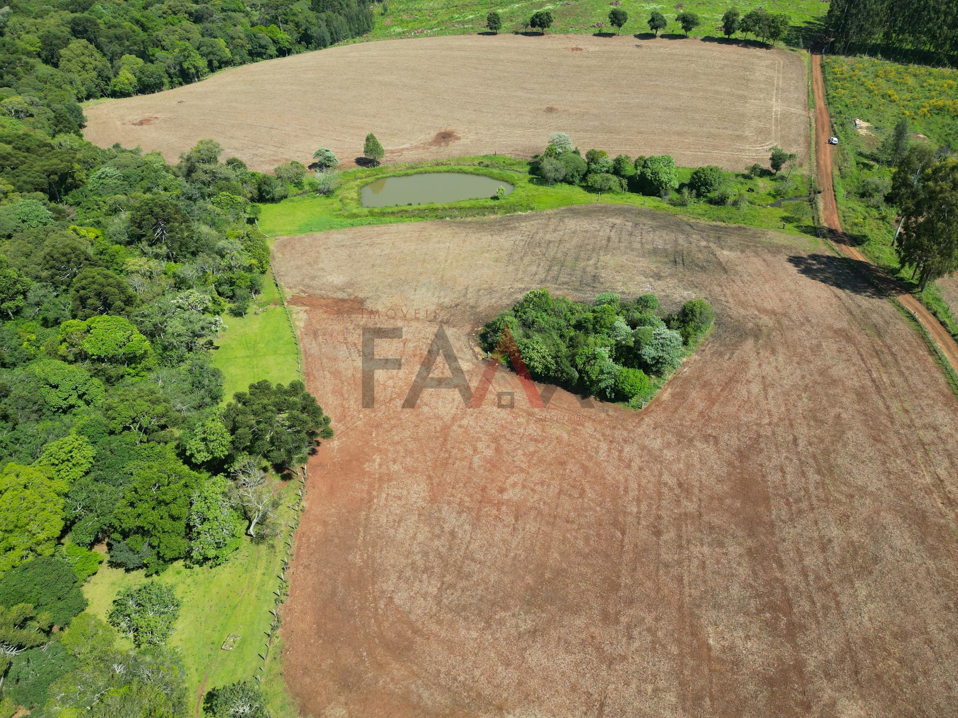 Fazenda à venda com 4 quartos, 310m² - Foto 69