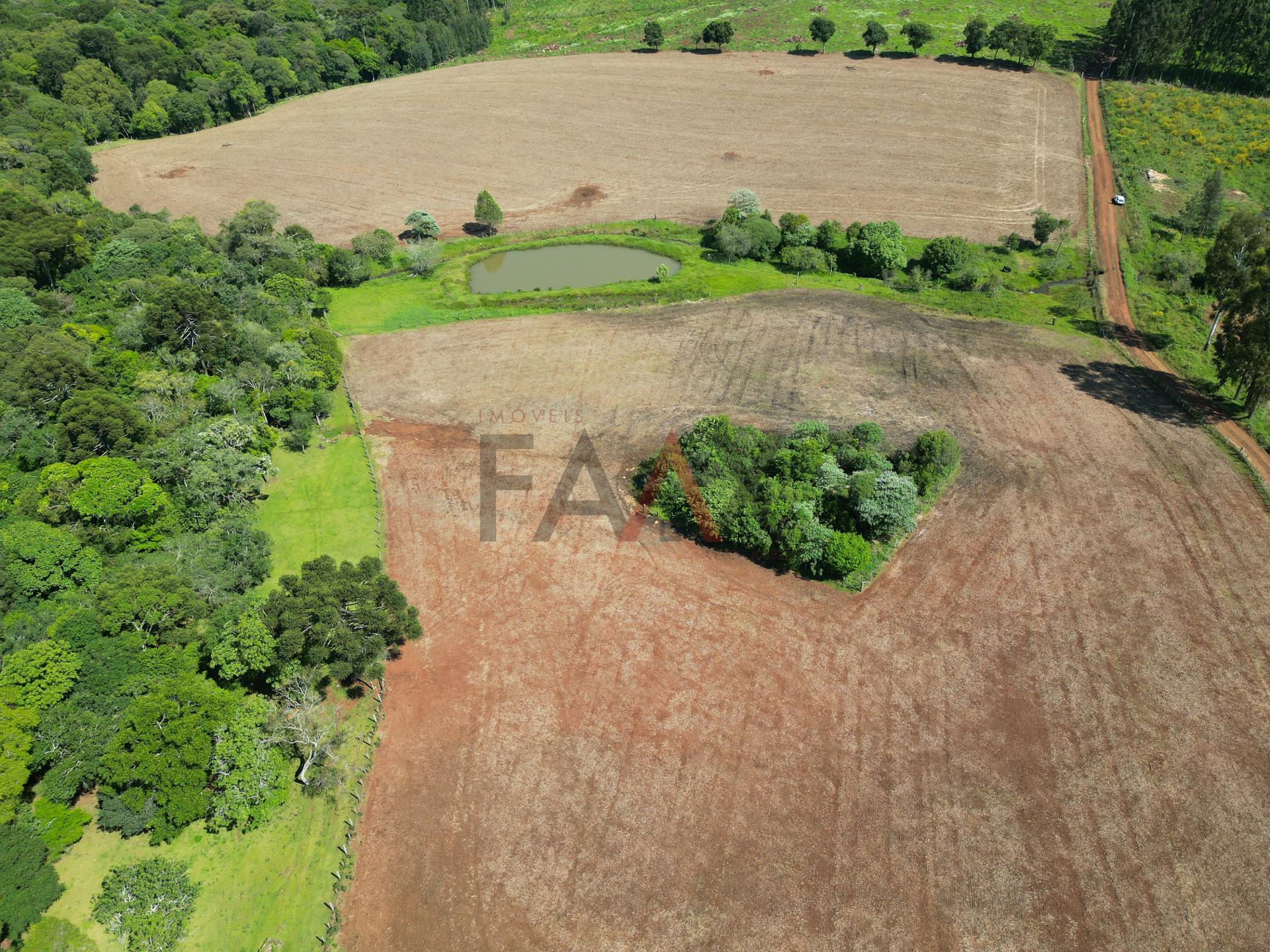 Fazenda à venda com 4 quartos, 310m² - Foto 70