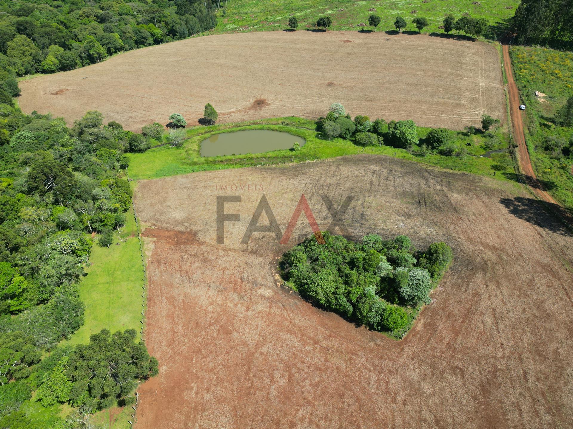 Fazenda à venda com 4 quartos, 310m² - Foto 71