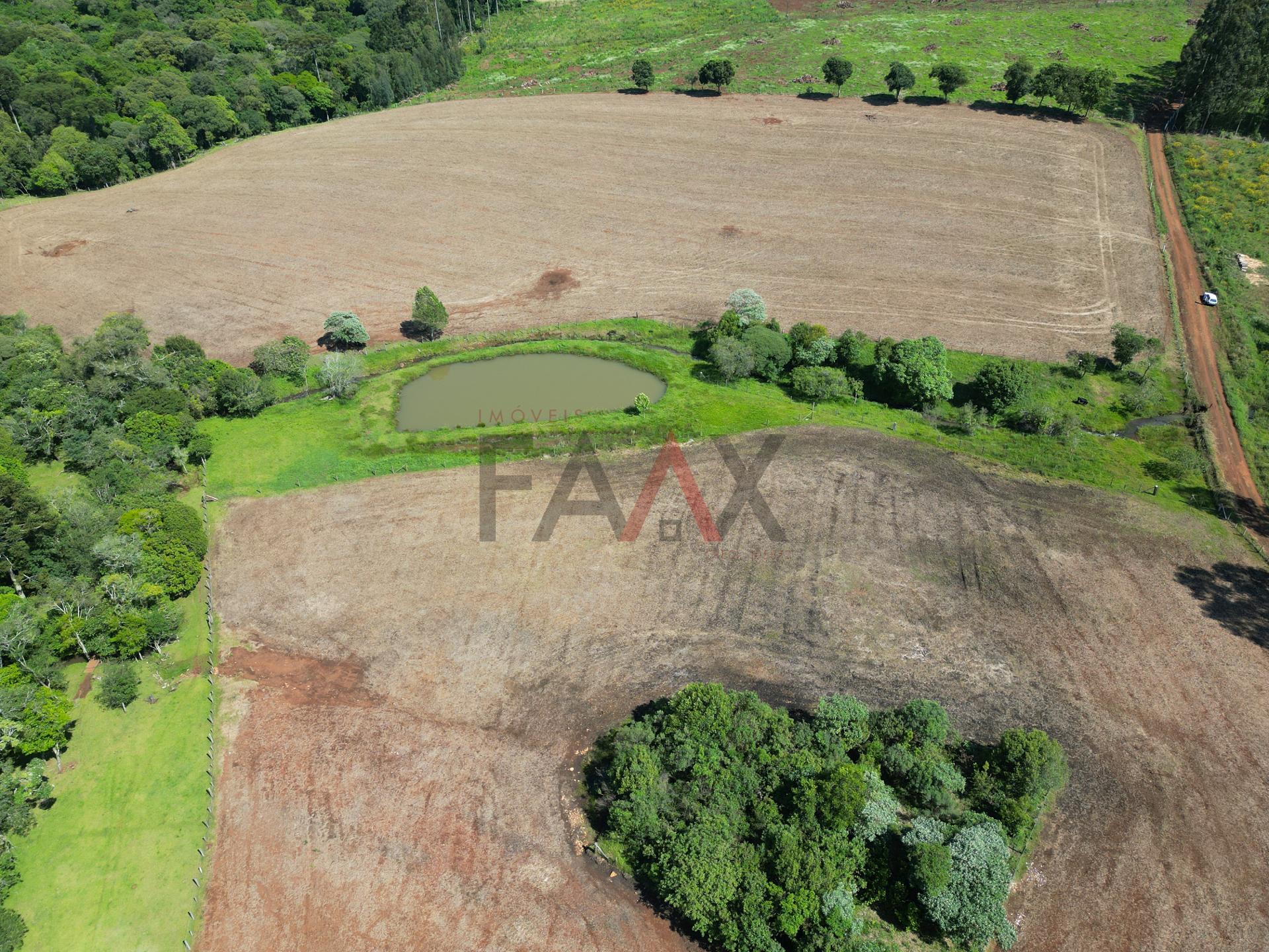 Fazenda à venda com 4 quartos, 310m² - Foto 73