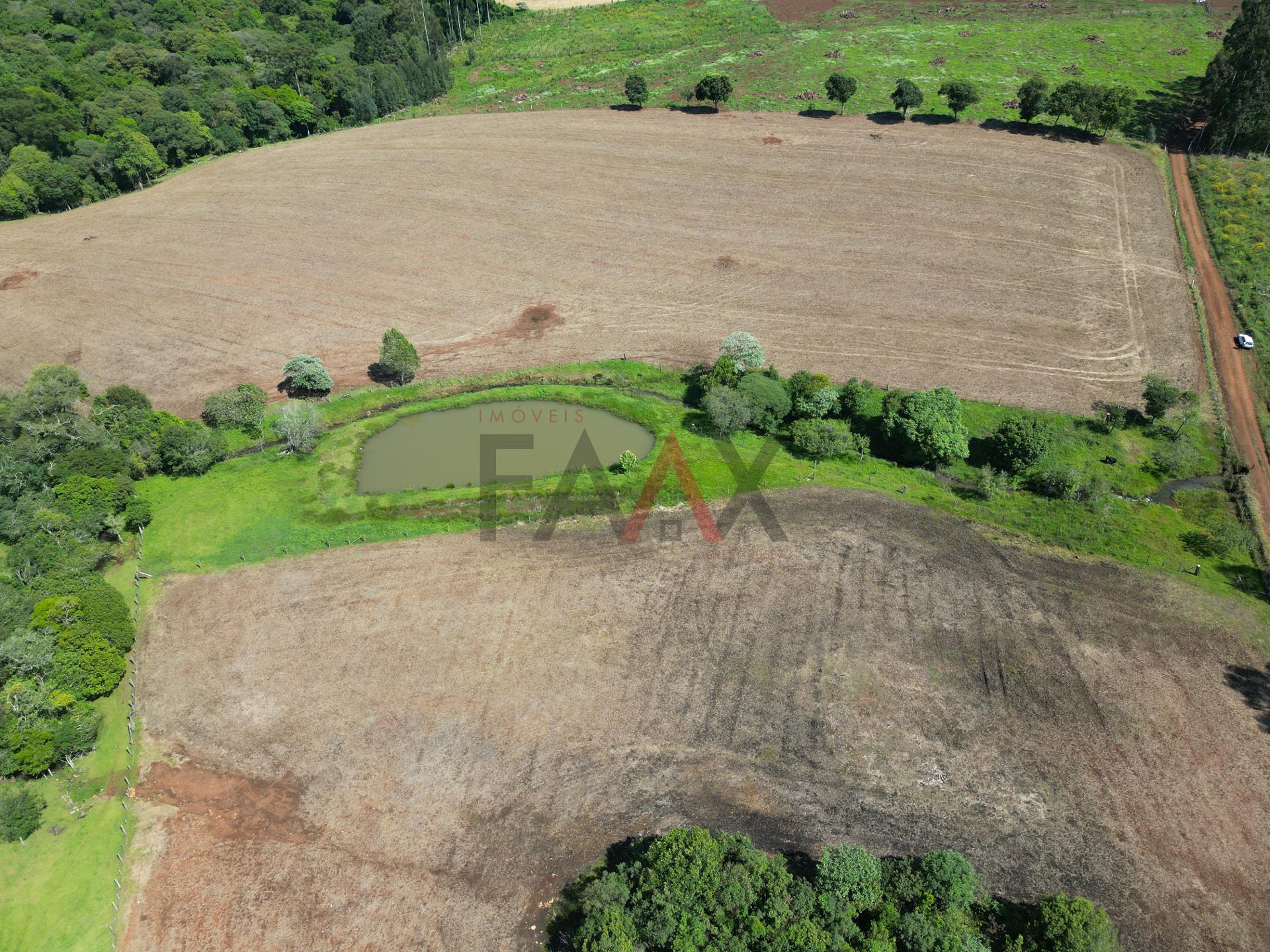 Fazenda à venda com 4 quartos, 310m² - Foto 74