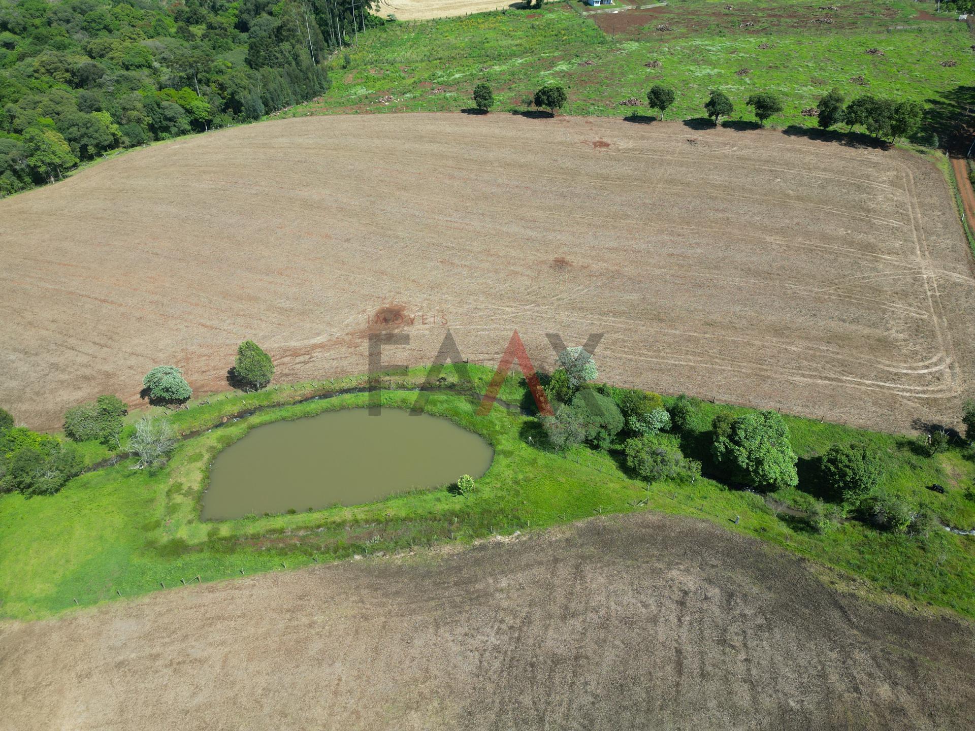 Fazenda à venda com 4 quartos, 310m² - Foto 76