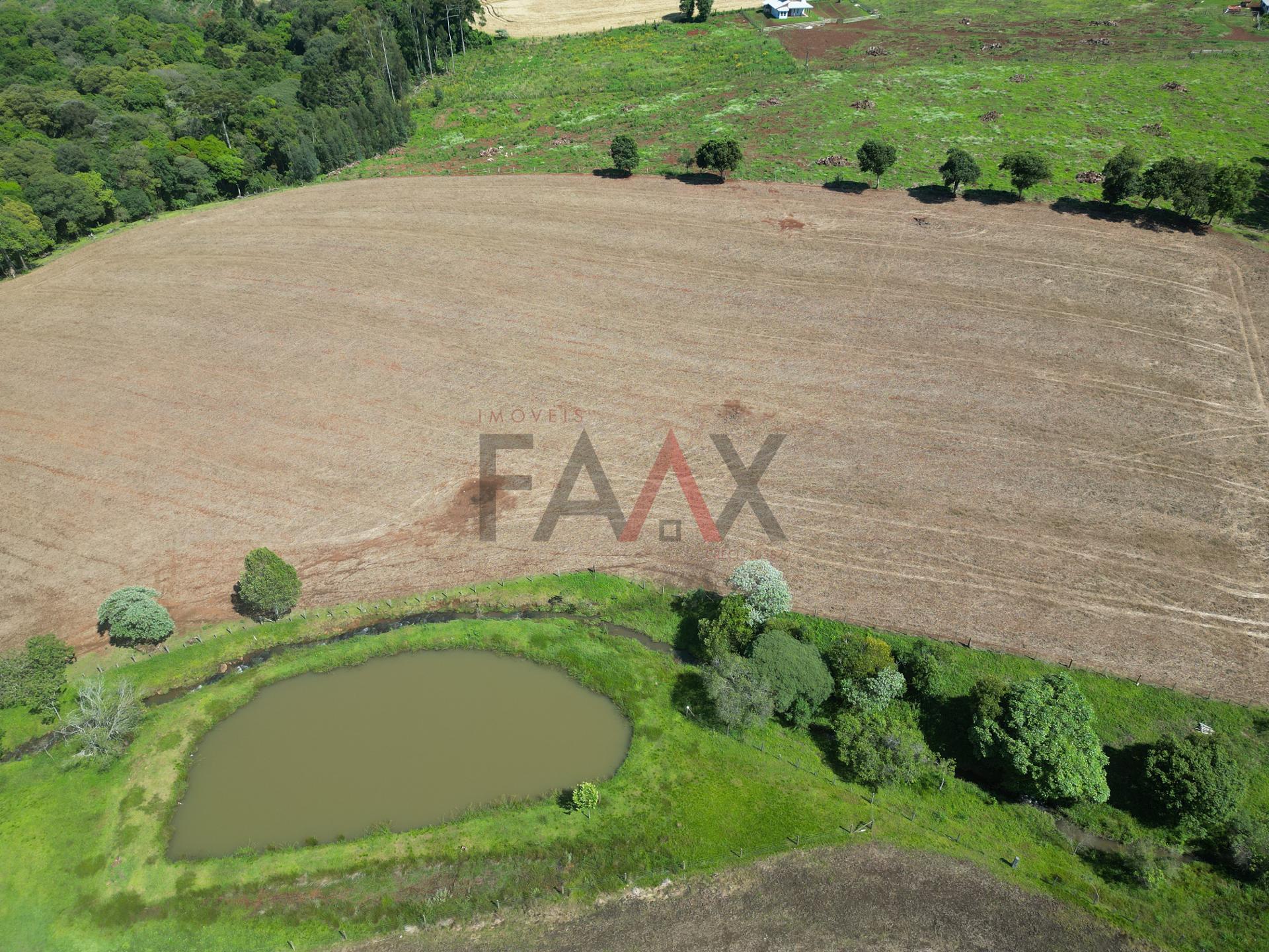 Fazenda à venda com 4 quartos, 310m² - Foto 77