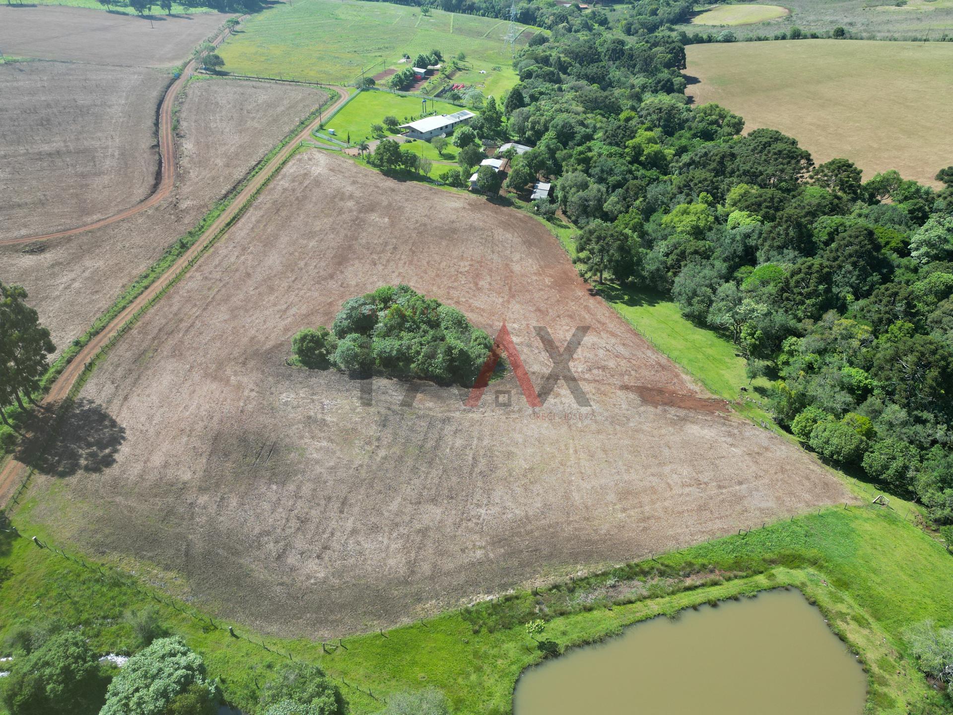 Fazenda à venda com 4 quartos, 310m² - Foto 82