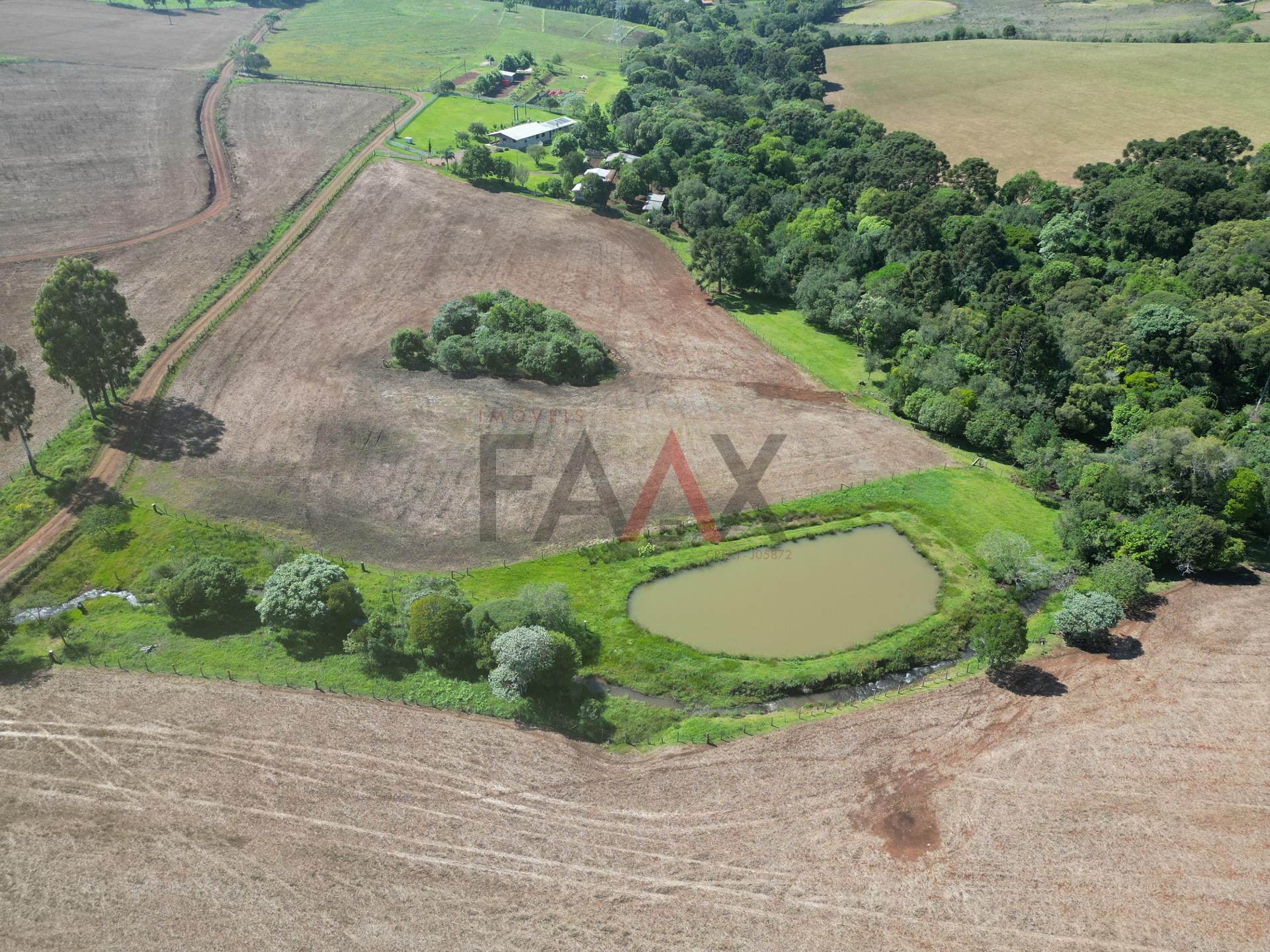 Fazenda à venda com 4 quartos, 310m² - Foto 84