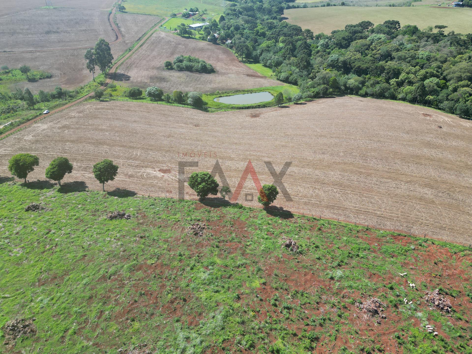 Fazenda à venda com 4 quartos, 310m² - Foto 91