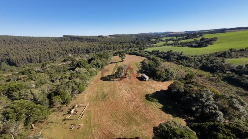 Fazenda à venda, 242000m² - Foto 2