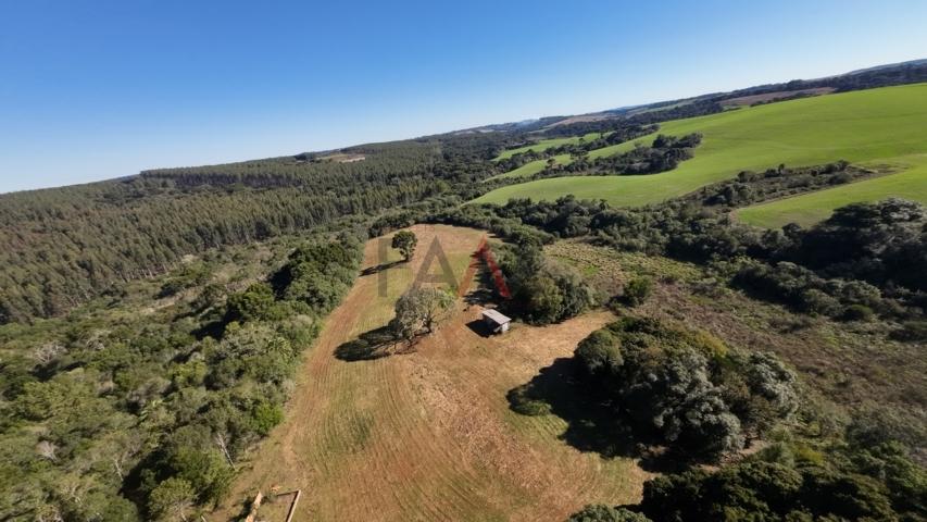 Fazenda à venda, 242000m² - Foto 3