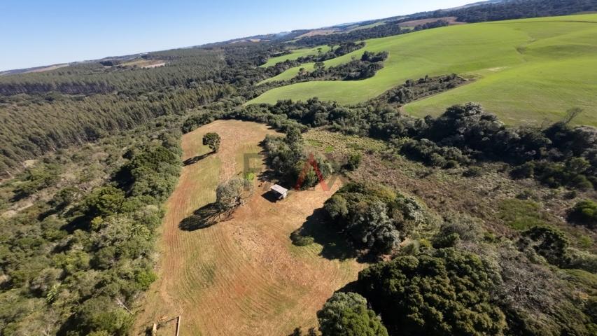 Fazenda à venda, 242000m² - Foto 4