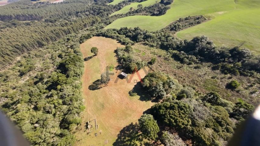 Fazenda à venda, 242000m² - Foto 5