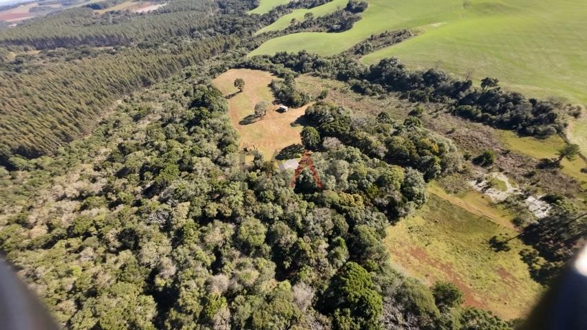 Fazenda à venda, 242000m² - Foto 9