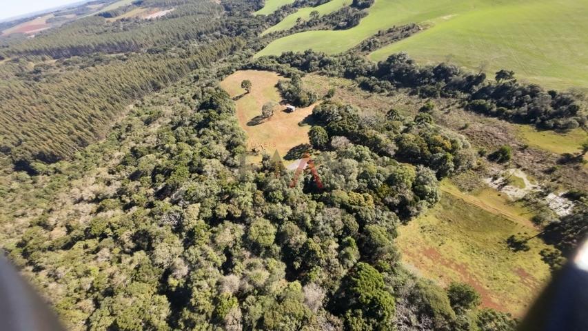 Fazenda à venda, 242000m² - Foto 10