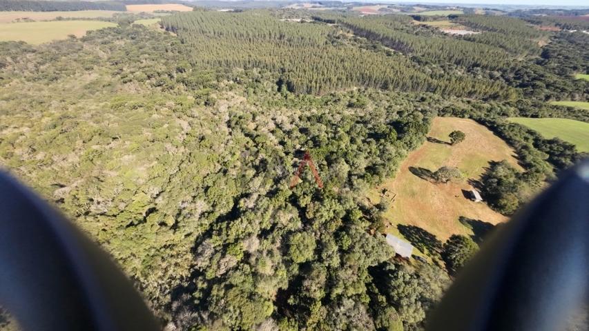 Fazenda à venda, 242000m² - Foto 15