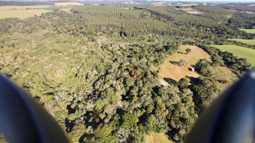 Fazenda à venda, 242000m² - Foto 18