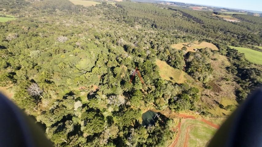 Fazenda à venda, 242000m² - Foto 26