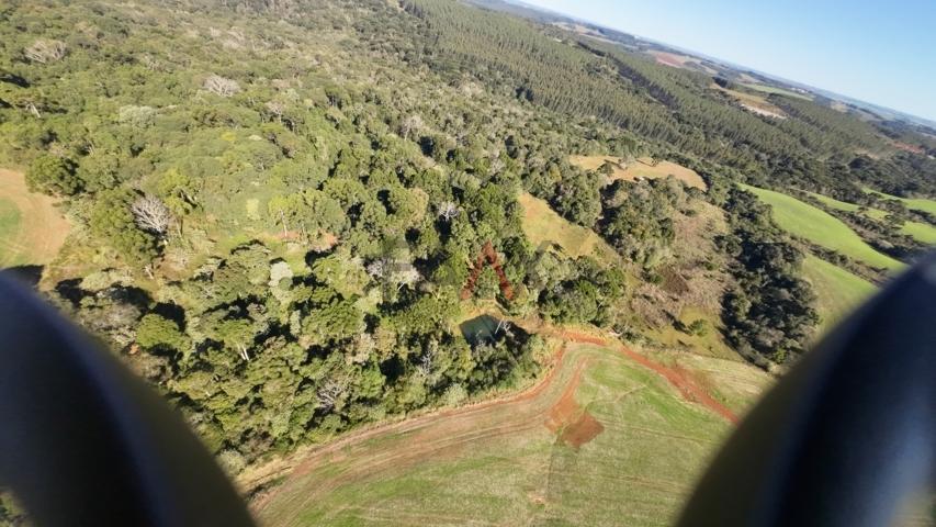 Fazenda à venda, 242000m² - Foto 27