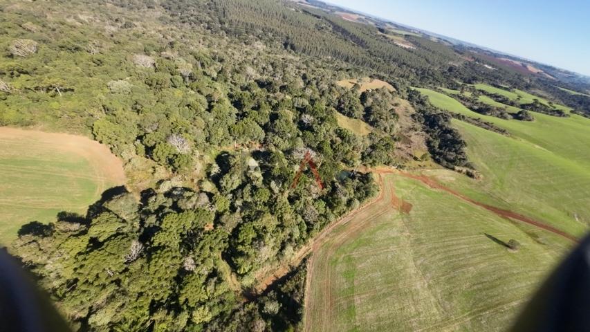 Fazenda à venda, 242000m² - Foto 29