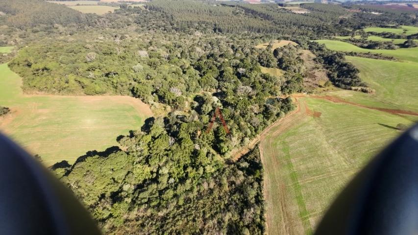 Fazenda à venda, 242000m² - Foto 31