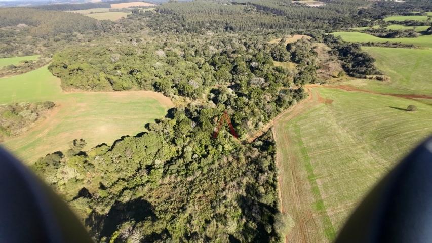 Fazenda à venda, 242000m² - Foto 32