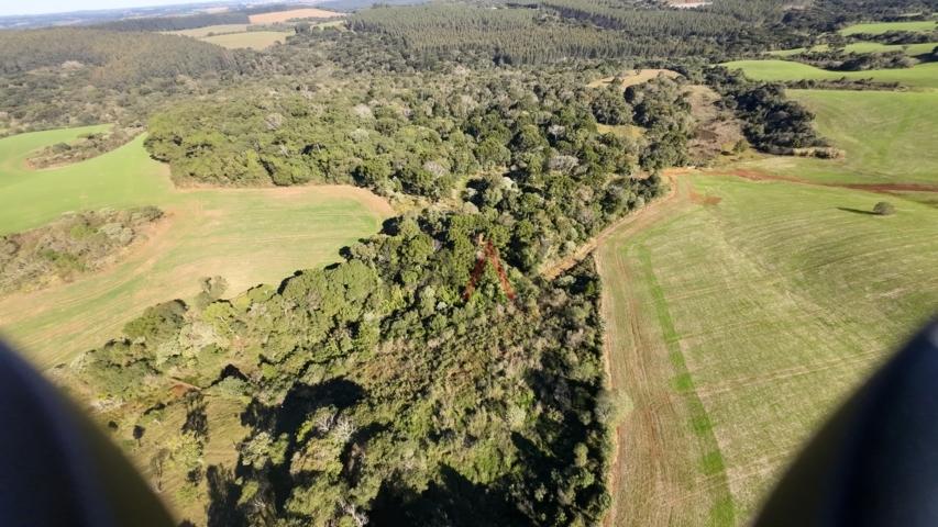 Fazenda à venda, 242000m² - Foto 33