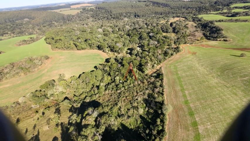 Fazenda à venda, 242000m² - Foto 34