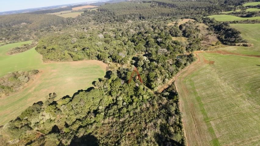 Fazenda à venda, 242000m² - Foto 35