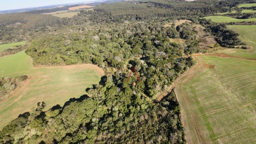 Fazenda à venda, 242000m² - Foto 36