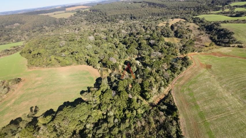 Fazenda à venda, 242000m² - Foto 37