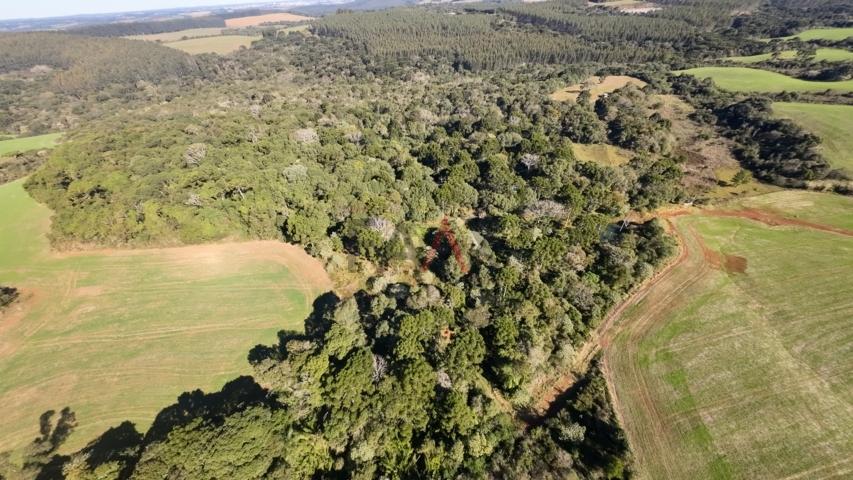 Fazenda à venda, 242000m² - Foto 38