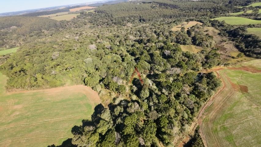 Fazenda à venda, 242000m² - Foto 39