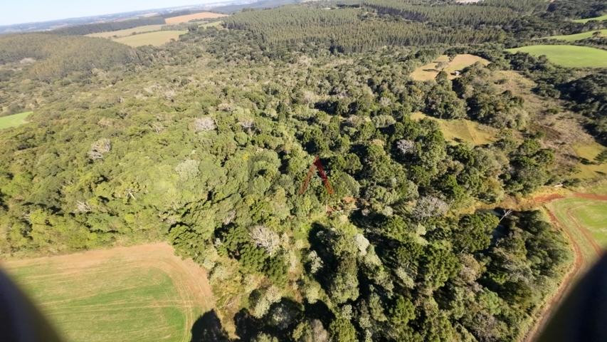 Fazenda à venda, 242000m² - Foto 40