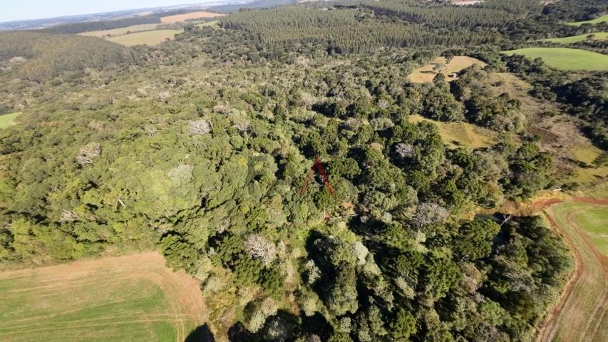 Fazenda à venda, 242000m² - Foto 41