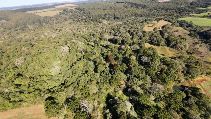 Fazenda à venda, 242000m² - Foto 42