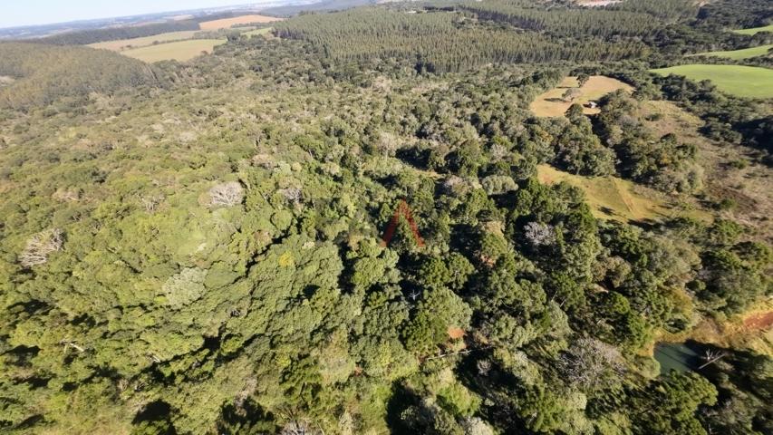 Fazenda à venda, 242000m² - Foto 43