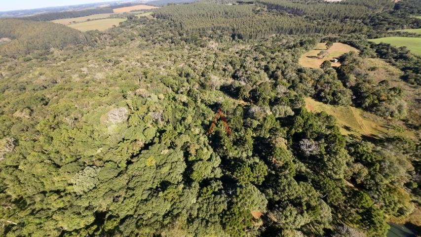 Fazenda à venda, 242000m² - Foto 44