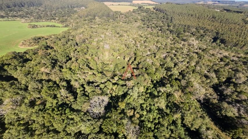 Fazenda à venda, 242000m² - Foto 48