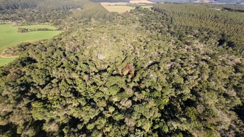 Fazenda à venda, 242000m² - Foto 50