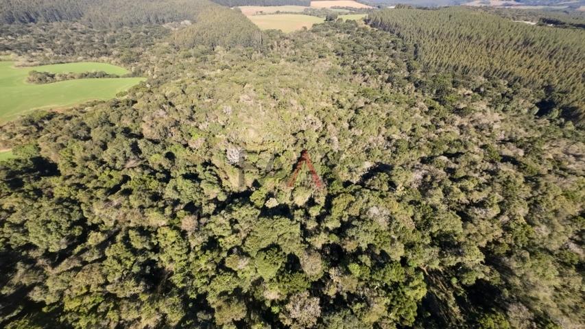 Fazenda à venda, 242000m² - Foto 51